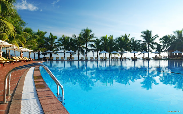 Swimming Pool from Chrome web store to be run with OffiDocs Chromium online Swimming Pool from Chrome web store to be run with OffiDocs Chromium online