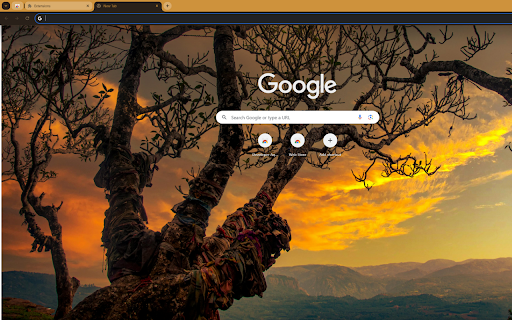 tea tree atop a mountain under the sunset sky from Chrome web store to be run with OffiDocs Chromium online tea tree atop a mountain under the sunset sky from Chrome web store to be run with OffiDocs Chromium online