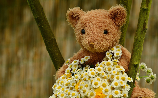 Teddy bears and flowers from Chrome web store to be run with OffiDocs Chromium online Teddy bears and flowers from Chrome web store to be run with OffiDocs Chromium online