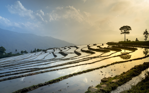 Terraced fields soaked in water from Chrome web store to be run with OffiDocs Chromium online Terraced fields soaked in water from Chrome web store to be run with OffiDocs Chromium online