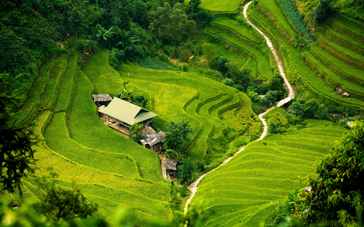Terraced Rice Fields from Chrome web store to be run with OffiDocs Chromium online Terraced Rice Fields from Chrome web store to be run with OffiDocs Chromium online