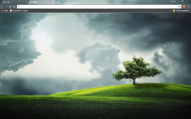 That Tree from Chrome web store to be run with OffiDocs Chromium online That Tree from Chrome web store to be run with OffiDocs Chromium online