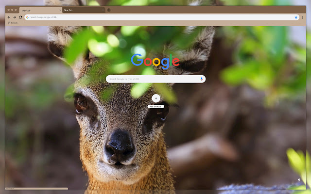 The animals face from Chrome web store to be run with OffiDocs Chromium online The animals face from Chrome web store to be run with OffiDocs Chromium online