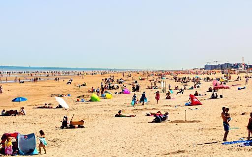 The beach is sunny and windy from Chrome web store to be run with OffiDocs Chromium online The beach is sunny and windy from Chrome web store to be run with OffiDocs Chromium online