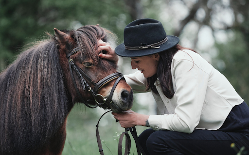 The girl and the good horse from Chrome web store to be run with OffiDocs Chromium online The girl and the good horse from Chrome web store to be run with OffiDocs Chromium online