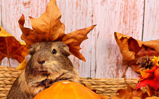 The mouse and the leaf from Chrome web store to be run with OffiDocs Chromium online The mouse and the leaf from Chrome web store to be run with OffiDocs Chromium online