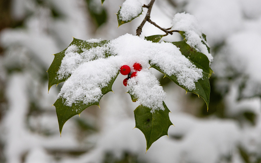 The space is filled with snow from Chrome web store to be run with OffiDocs Chromium online The space is filled with snow from Chrome web store to be run with OffiDocs Chromium online