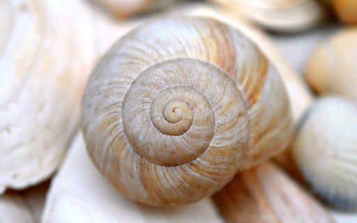 Thread screws from Chrome web store to be run with OffiDocs Chromium online Thread screws from Chrome web store to be run with OffiDocs Chromium online