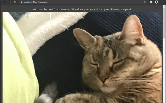 TibbettsKittens from Chrome web store to be run with OffiDocs Chromium online TibbettsKittens from Chrome web store to be run with OffiDocs Chromium online