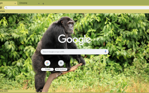 Tinh Tinh from Chrome web store to be run with OffiDocs Chromium online Tinh Tinh from Chrome web store to be run with OffiDocs Chromium online