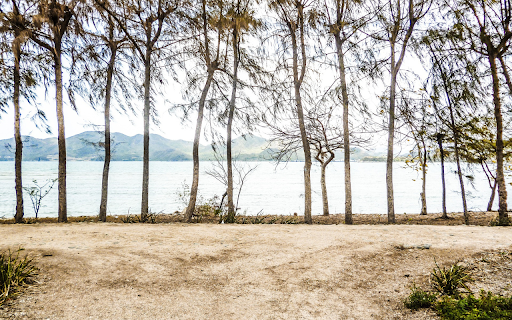 Trees by the lake from Chrome web store to be run with OffiDocs Chromium online Trees by the lake from Chrome web store to be run with OffiDocs Chromium online