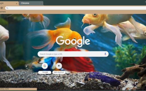 Tropical Fish Aquarium from Chrome web store to be run with OffiDocs Chromium online Tropical Fish Aquarium from Chrome web store to be run with OffiDocs Chromium online