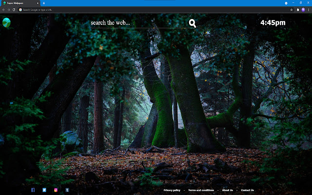 Tropics Wallpapers from Chrome web store to be run with OffiDocs Chromium online Tropics Wallpapers from Chrome web store to be run with OffiDocs Chromium online