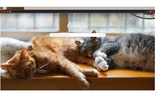 Two Tabby Kittens Lying Down from Chrome web store to be run with OffiDocs Chromium online Two Tabby Kittens Lying Down from Chrome web store to be run with OffiDocs Chromium online