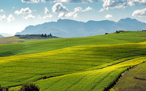 Vast green rice fields from Chrome web store to be run with OffiDocs Chromium online Vast green rice fields from Chrome web store to be run with OffiDocs Chromium online