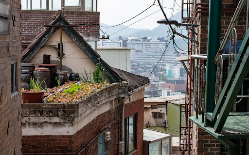 vegetable garden on the roof from Chrome web store to be run with OffiDocs Chromium online vegetable garden on the roof from Chrome web store to be run with OffiDocs Chromium online