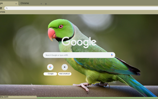Vet from Chrome web store to be run with OffiDocs Chromium online Vet from Chrome web store to be run with OffiDocs Chromium online