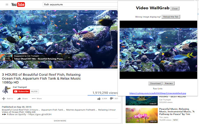 Video Wallgrab from Chrome web store to be run with OffiDocs Chromium online Video Wallgrab from Chrome web store to be run with OffiDocs Chromium online