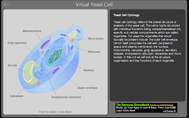 Virtual Yeast Cell from Chrome web store to be run with OffiDocs Chromium online Virtual Yeast Cell from Chrome web store to be run with OffiDocs Chromium online