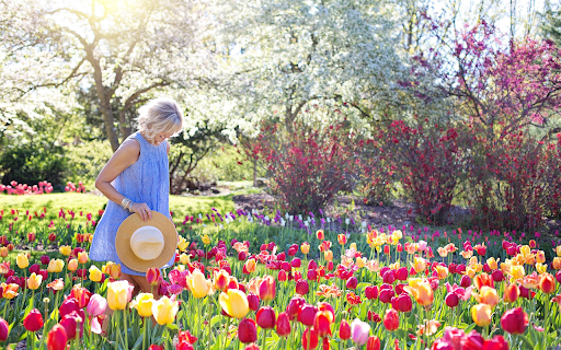 Visit spring garden from Chrome web store to be run with OffiDocs Chromium online Visit spring garden from Chrome web store to be run with OffiDocs Chromium online