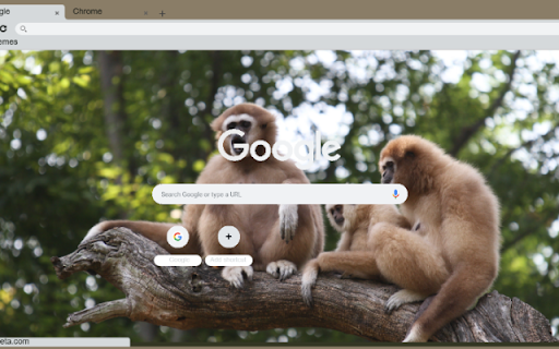 Vuon from Chrome web store to be run with OffiDocs Chromium online Vuon from Chrome web store to be run with OffiDocs Chromium online