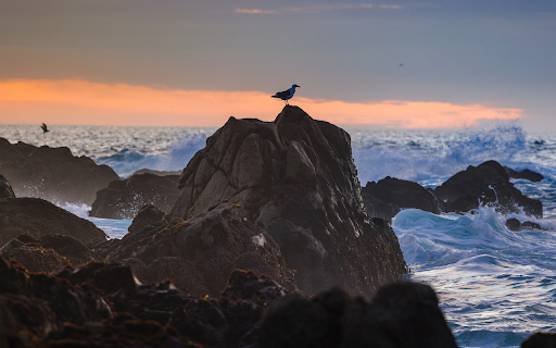 Waves and Rocks from Chrome web store to be run with OffiDocs Chromium online Waves and Rocks from Chrome web store to be run with OffiDocs Chromium online