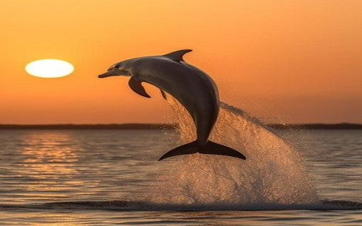 Whale wallpaper from Chrome web store to be run with OffiDocs Chromium online Whale wallpaper from Chrome web store to be run with OffiDocs Chromium online