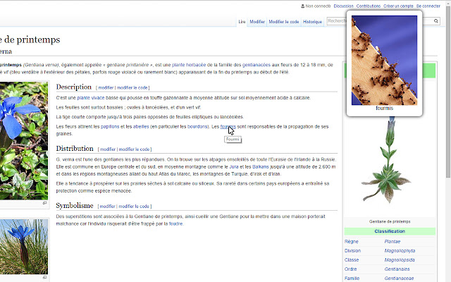 WikImage from Chrome web store to be run with OffiDocs Chromium online WikImage from Chrome web store to be run with OffiDocs Chromium online