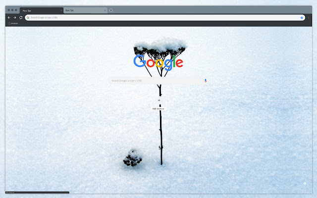 Winter flower from Chrome web store to be run with OffiDocs Chromium online Winter flower from Chrome web store to be run with OffiDocs Chromium online