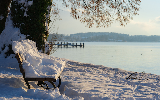 Winter riverbank from Chrome web store to be run with OffiDocs Chromium online Winter riverbank from Chrome web store to be run with OffiDocs Chromium online