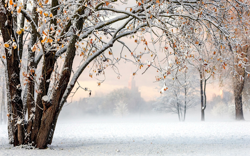 Winter snowfall from Chrome web store to be run with OffiDocs Chromium online Winter snowfall from Chrome web store to be run with OffiDocs Chromium online