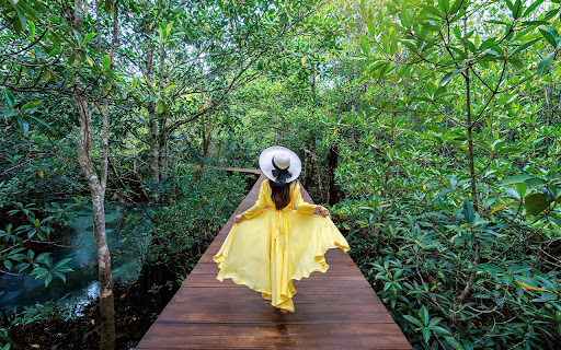 woman walking nature park from Chrome web store to be run with OffiDocs Chromium online woman walking nature park from Chrome web store to be run with OffiDocs Chromium online