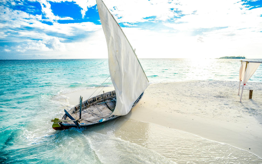 Wooden boat ran aground from Chrome web store to be run with OffiDocs Chromium online Wooden boat ran aground from Chrome web store to be run with OffiDocs Chromium online