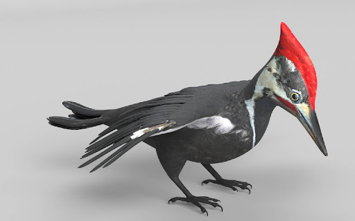 Woodpecker Ku from Chrome web store to be run with OffiDocs Chromium online Woodpecker Ku from Chrome web store to be run with OffiDocs Chromium online