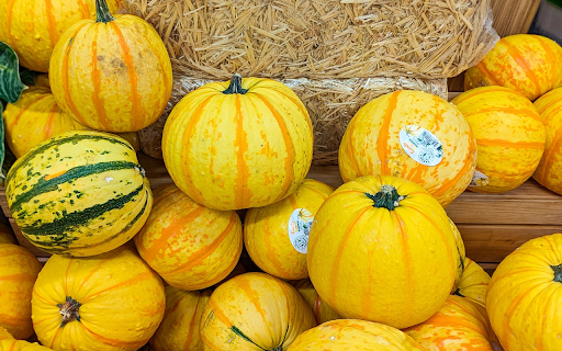 Yellow pumpkin agricultural products from Chrome web store to be run with OffiDocs Chromium online Yellow pumpkin agricultural products from Chrome web store to be run with OffiDocs Chromium online