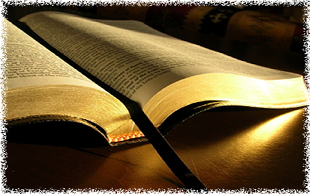 Your Daily Proverb From the Bible from Chrome web store to be run with OffiDocs Chromium online Your Daily Proverb From the Bible from Chrome web store to be run with OffiDocs Chromium online