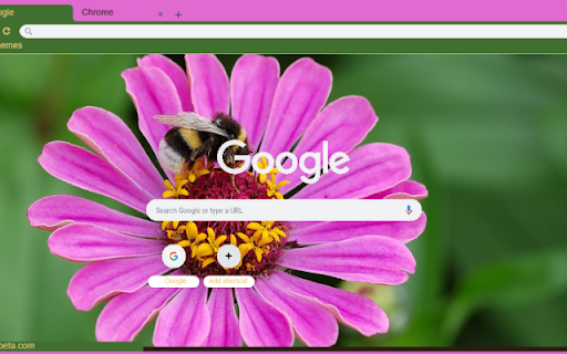 Zinnia Elegans from Chrome web store to be run with OffiDocs Chromium online Zinnia Elegans from Chrome web store to be run with OffiDocs Chromium online