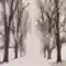 Trees Woods Nature