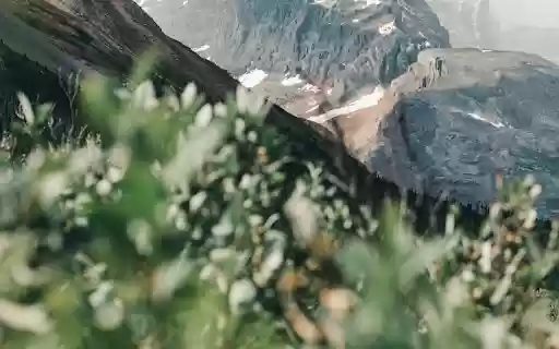 A Mountainside in Jasper National Park from Chrome web store to be run with OffiDocs Chromium online A Mountainside in Jasper National Park from Chrome web store to be run with OffiDocs Chromium online