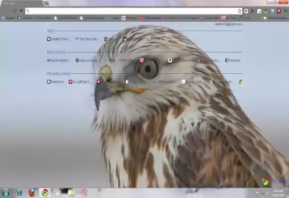 AuzBuzz Hawk Theme from Chrome web store to be run with OffiDocs Chromium online AuzBuzz Hawk Theme from Chrome web store to be run with OffiDocs Chromium online