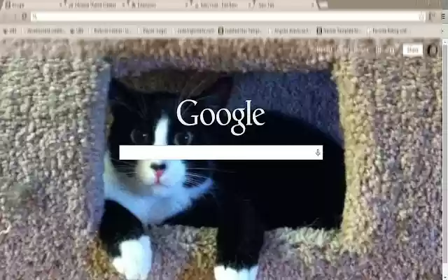 BabyYoda from Chrome web store to be run with OffiDocs Chromium online BabyYoda from Chrome web store to be run with OffiDocs Chromium online