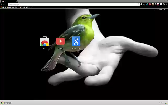 Beautiful Bird On A Hand from Chrome web store to be run with OffiDocs Chromium online Beautiful Bird On A Hand from Chrome web store to be run with OffiDocs Chromium online