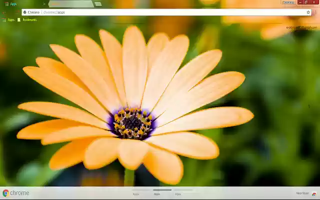 Beautiful Flower Nature from Chrome web store to be run with OffiDocs Chromium online Beautiful Flower Nature from Chrome web store to be run with OffiDocs Chromium online