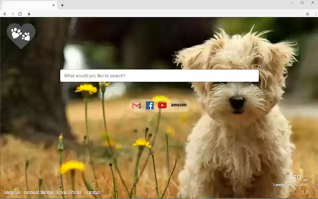 Best Friend Tab from Chrome web store to be run with OffiDocs Chromium online Best Friend Tab from Chrome web store to be run with OffiDocs Chromium online