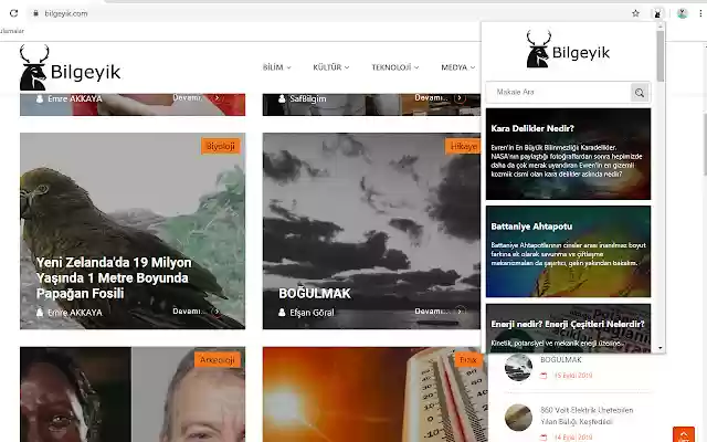 Bilgeyik from Chrome web store to be run with OffiDocs Chromium online Bilgeyik from Chrome web store to be run with OffiDocs Chromium online