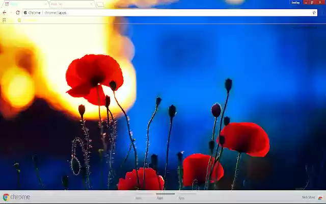Blue Flower Poppy Flower Spring from Chrome web store to be run with OffiDocs Chromium online Blue Flower Poppy Flower Spring from Chrome web store to be run with OffiDocs Chromium online