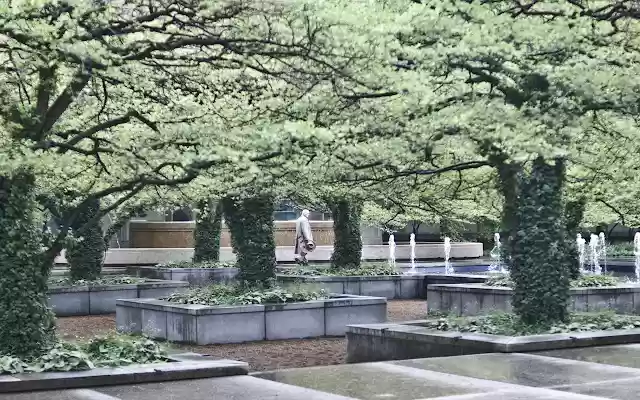 Blutintphotography.com Walk Tall piece from Chrome web store to be run with OffiDocs Chromium online Blutintphotography.com Walk Tall piece from Chrome web store to be run with OffiDocs Chromium online