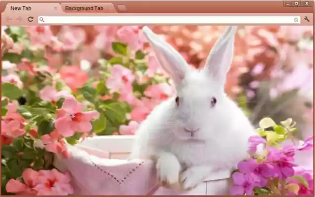 Bunny from Chrome web store to be run with OffiDocs Chromium online Bunny from Chrome web store to be run with OffiDocs Chromium online