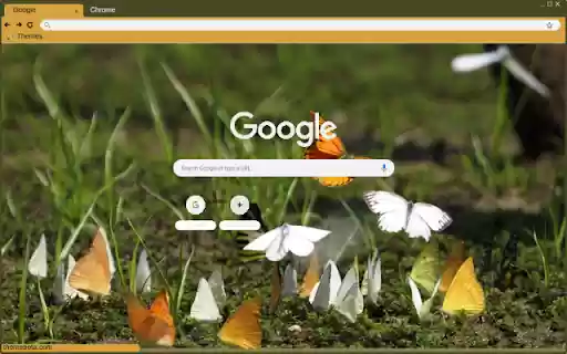 Buom from Chrome web store to be run with OffiDocs Chromium online Buom from Chrome web store to be run with OffiDocs Chromium online