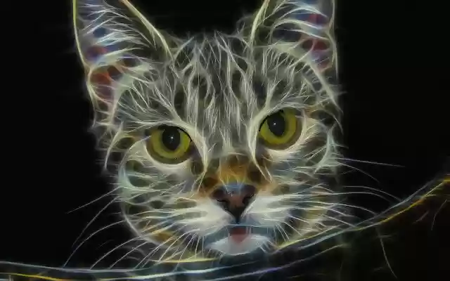 Cat Cat from Chrome web store to be run with OffiDocs Chromium online Cat Cat from Chrome web store to be run with OffiDocs Chromium online